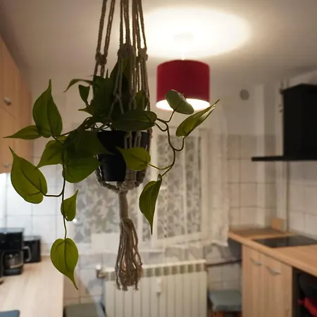 Gabry Elle's Cozy Place - Calea Mosilor * בוקרשט