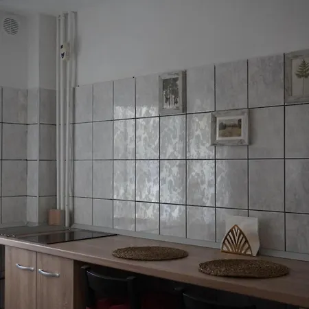 Apartment Gabry Elle's Cozy Place - Calea Mosilor Bucharest