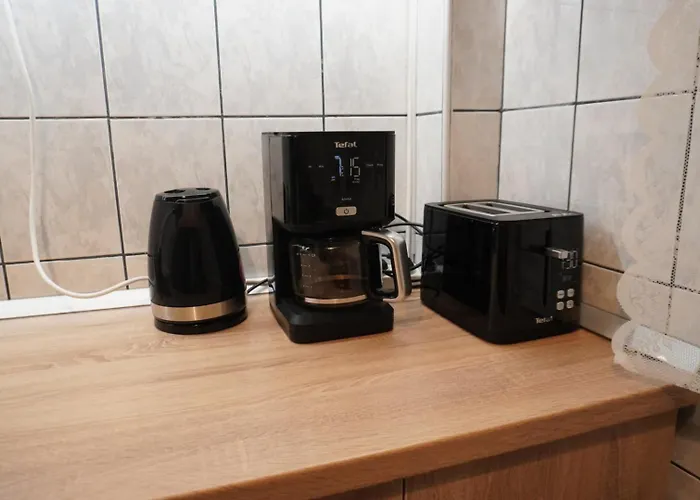 Apartman Gabry Elle's Cozy Place - Calea Mosilor *