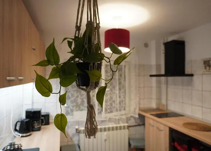 Gabry Elle's Cozy Place - Calea Mosilor * Бухарест