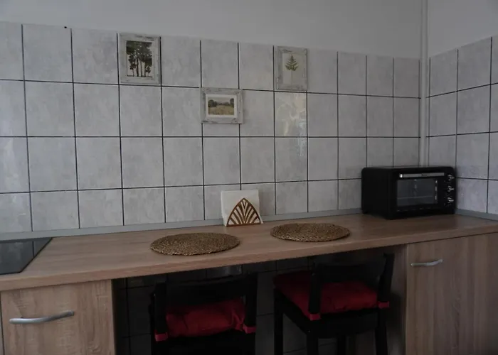 Gabry Elle's Cozy Place - Calea Mosilor Apartamento